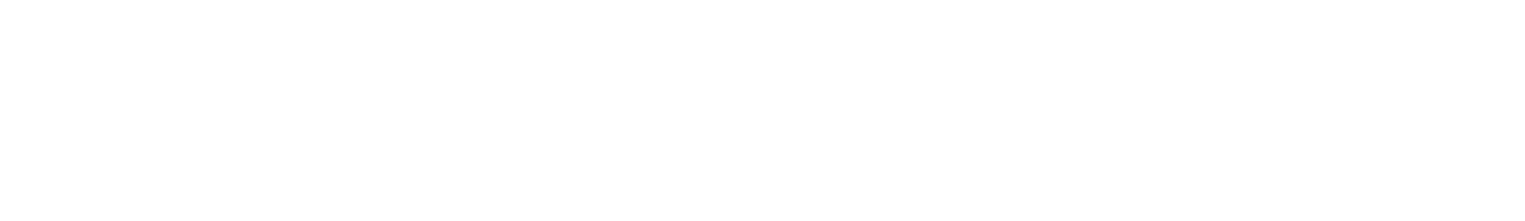 Auto Lotus