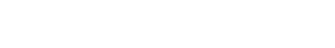 Auto Lotus